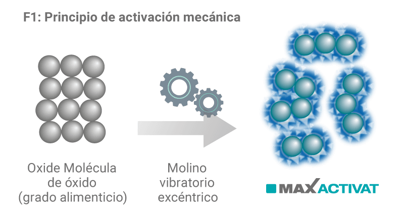Factsheet Activat F1