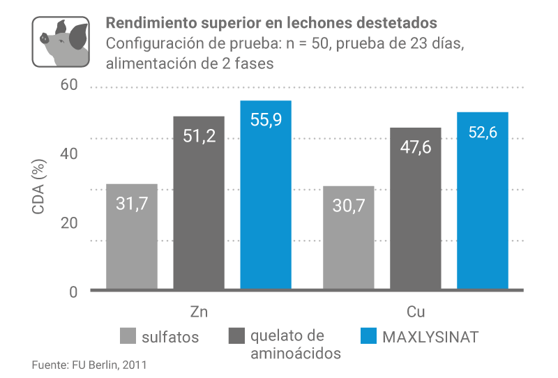 Factsheet Lysinat F1