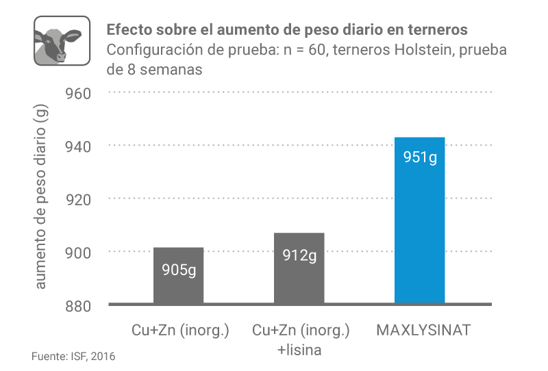Factsheet Lysinat F3
