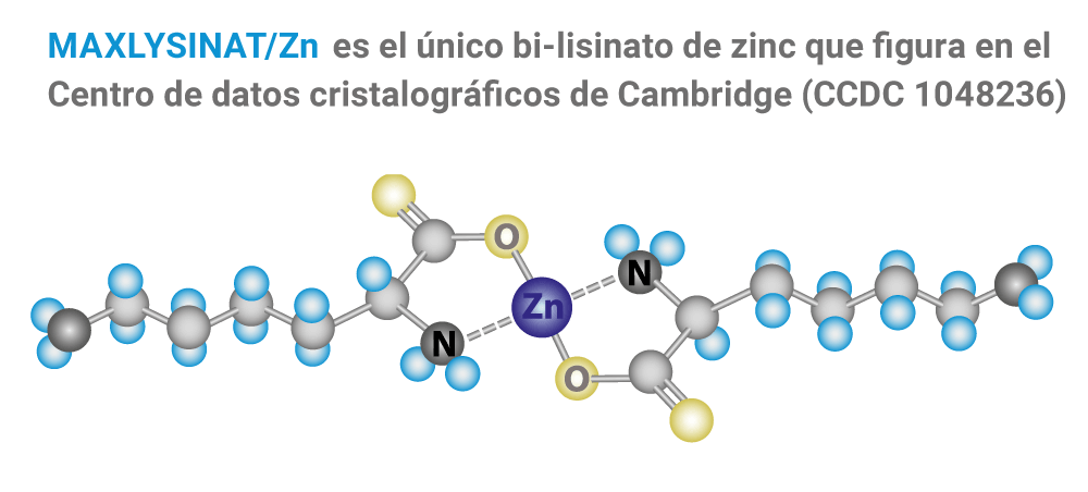 Factsheet Lysinat ZN