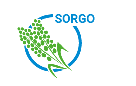 BONSILAGE CropIcon Sorgo es