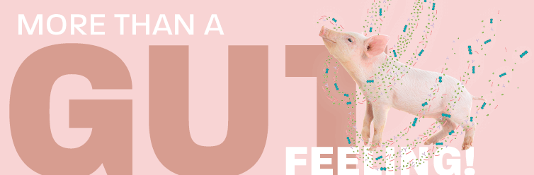 Banner MAXACTIVATZn final Kopie 3