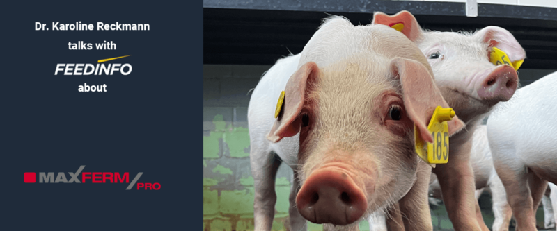 NEWS MAXFERM PRO FEEDINFO 2023 EN1 1