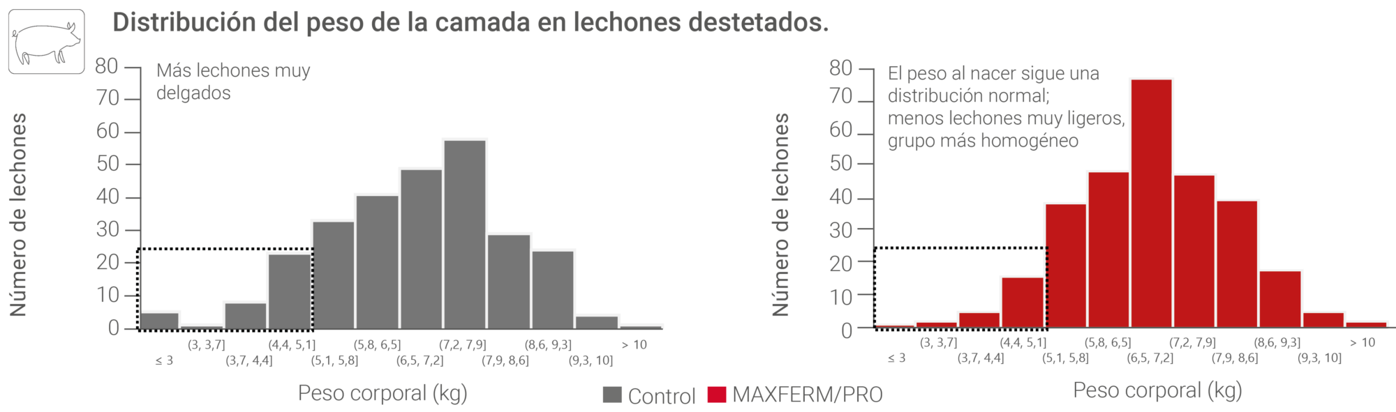 Figure Litter Weight MAXFERM PRO 2026 ES